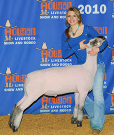 High Placing Lamb 2010 Houston Livestock Show