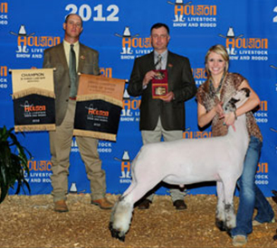 Reserve Grand Champion Champion Finewool Cross 2012 Houston Livestock Show