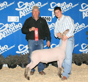2nd Place Lamb 2010 San Antonio Stock Show