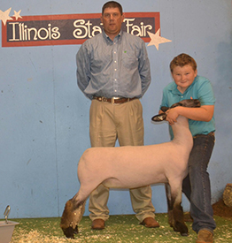 3rd overall Market Ewe Reserve Cross 2015 Illinois State Fair