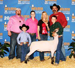 2nd Place - Class 1 2013 Houston Livestock Show
