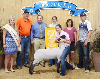 5th Overall Market Lamb 2017 Ohio State Fair Junior Show