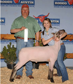 High Placing Lamb 2010 Star of Texas Fair