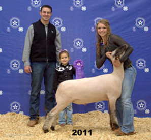 Champion Finewool Cross 2011 Tom Green County Junior Livestock Show