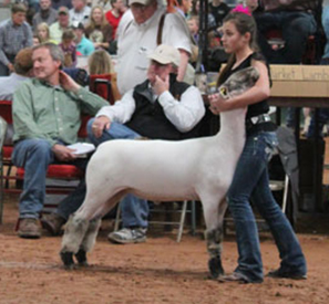 5th Place 2012 San Angelo Stock Show