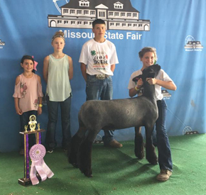 Reserve Grand Champion 4-H Market Lamb 2017 Missouri State Fair