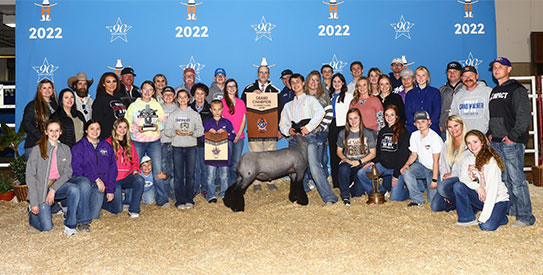 Grand Champion Market Lamb 2022 Houston Stock Show