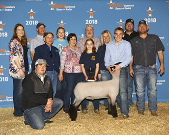 Class Winner 2018 Houston Livestock Show