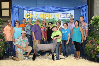 Champion Market Lamb 2015 Illinois State Fair