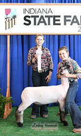 Reserve Champion Division 2 Crossbred 2018 Indiana State Fair