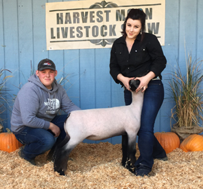 Grand Champion, Ring B Reserve Grand, Ring A 2015 Harvest Moon Livestock Show