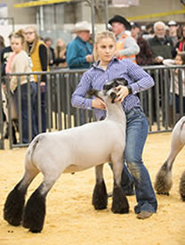 Sale Qualifier 2020 National Western Stock Show
