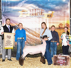 Reserve Southdown NAILE