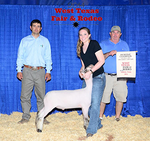 3rd Place 2014 San Antonio Livestock Show & Rodeo Sired by Bankshot Shown by Ty Halfmann Reserve Champion Finewool Cross 2014 West Texas Fair & Rodeo