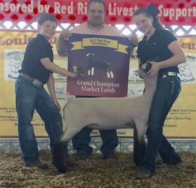 Champion Market Lamb 2015 Red River Showdown Shown by Riley Hoyle Sired by Polar Vortex