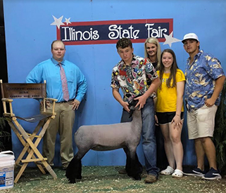 Reserve Grand Champion Ewe 2018 Illinois State Fair