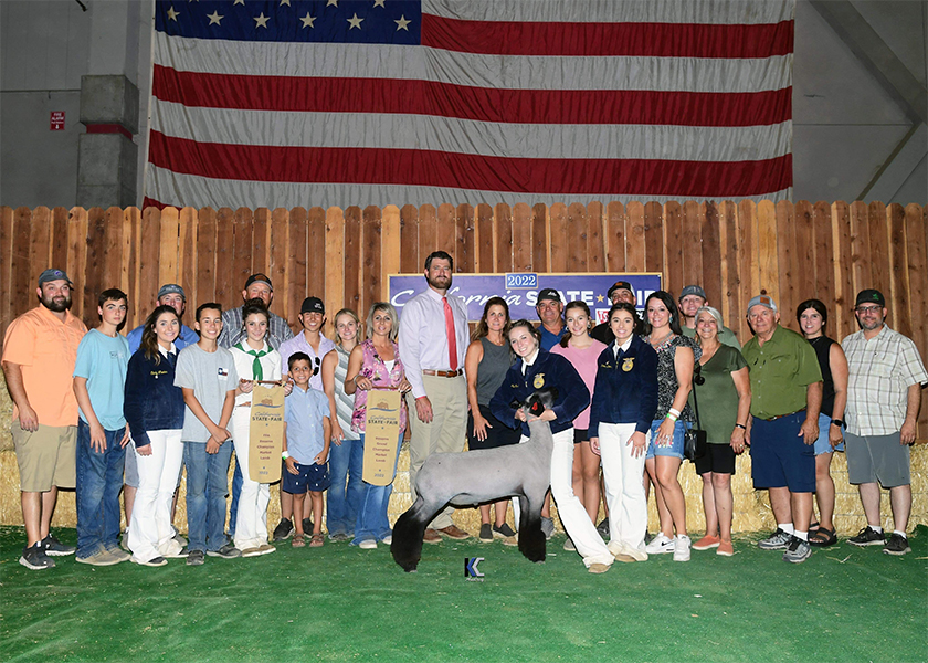 Reserve Champion Market Lamb 2022 California State Fair