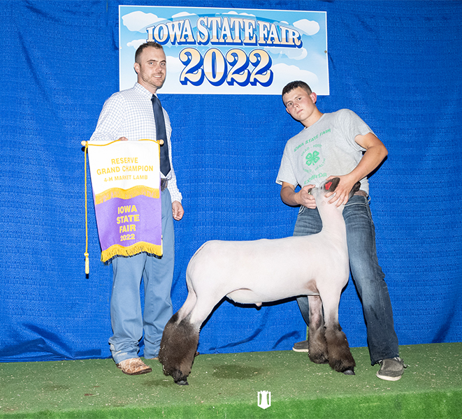 Reserve Champion Market Lamb 2022 Iowa State Fair 4-H Show