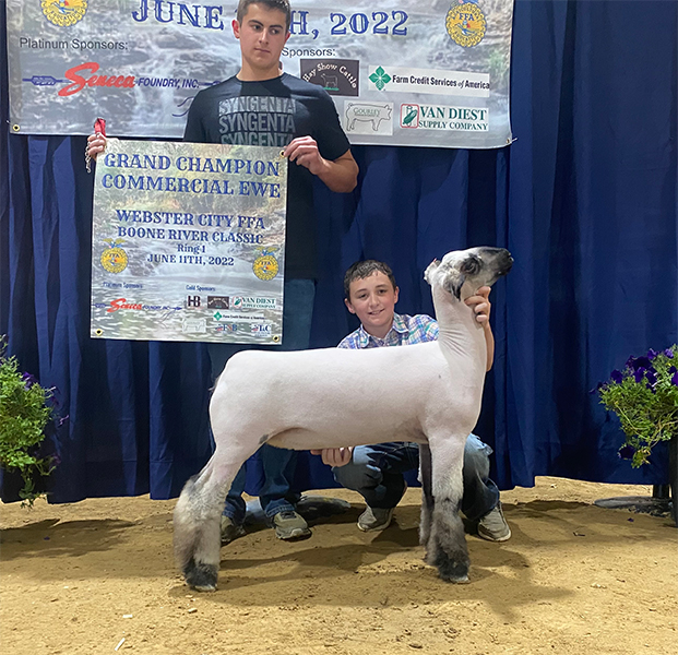 Grand Champion Commercial Ewe 2022 Webster City FFA Boone River Classic