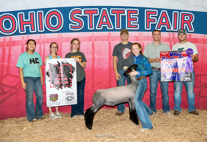 3rd Overall Ewe 2022 Ohio State Fair